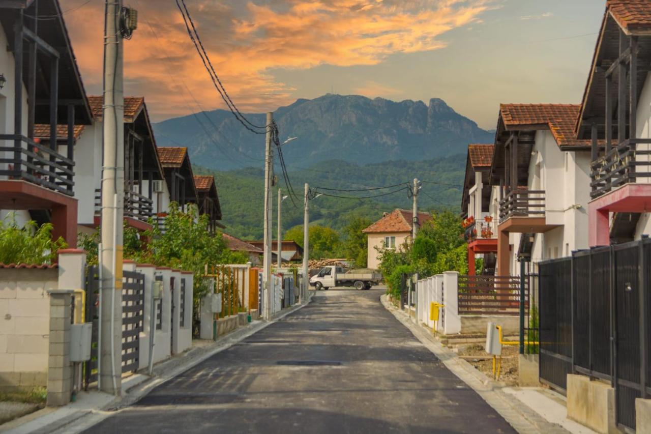 Willa Casa Gabrielle Călimăneşti Zewnętrze zdjęcie