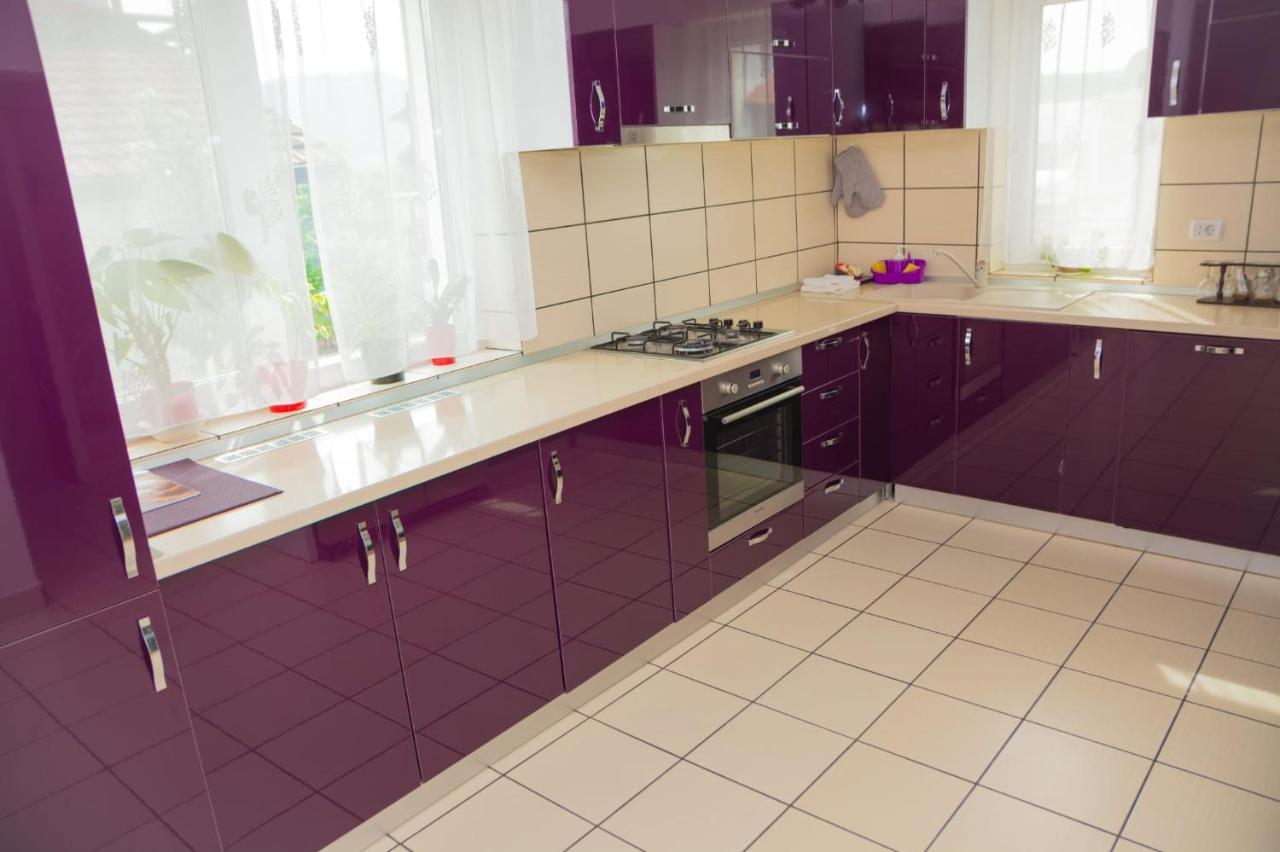 Willa Casa Gabrielle Călimăneşti Zewnętrze zdjęcie